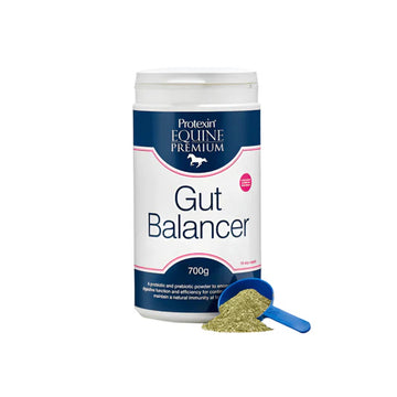 GUT BALANCER
