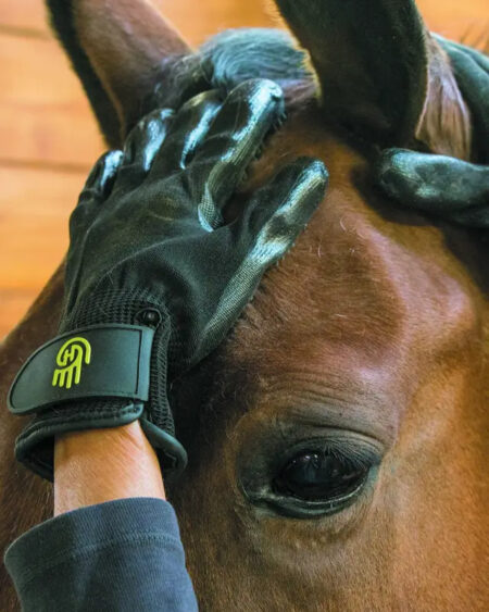 LeMieux Hands On Glove