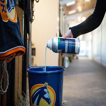 LAMINAID-1 L-CAVALOR