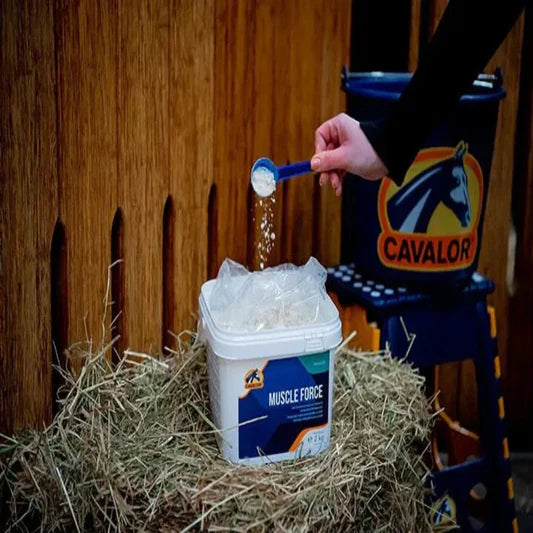 MUSCLE FORCE-2KG-CAVALOR