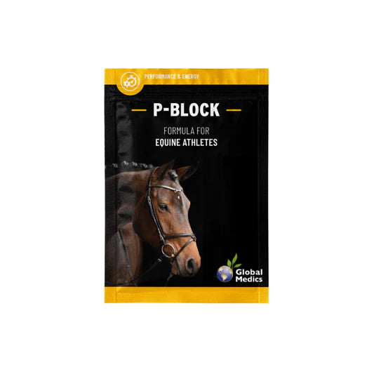 P-BLOCK | SOOTHING SUPPORT FOR EQUINE MOVEMENT-GM