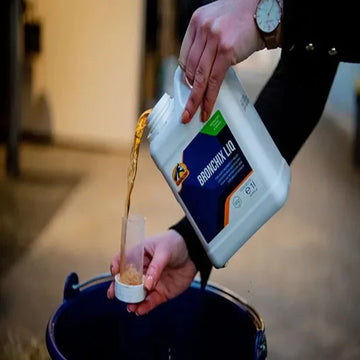 BRONCHIX LIQUID-CAVALOR