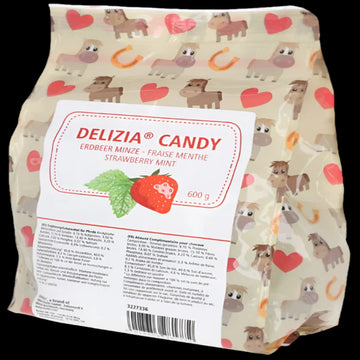 DELIZIA® CANDY-600 G-(STRAWBERRY&MINT)