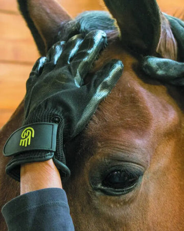 LeMieux Hands On Glove