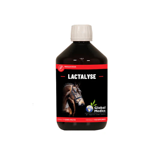 LACTALYSE | MUSCLE SUPPORT FOR EQUINE-GM