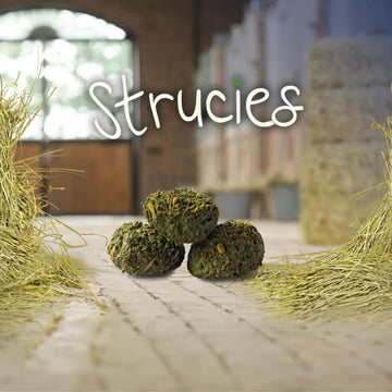 STRUCIES-1.5 KG-CAVALOR