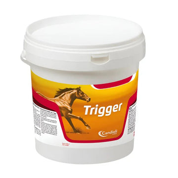 TRIGGER-CANDIOLI-ITALY