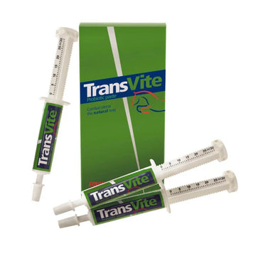 TRANSVITE PASTE-EPUK