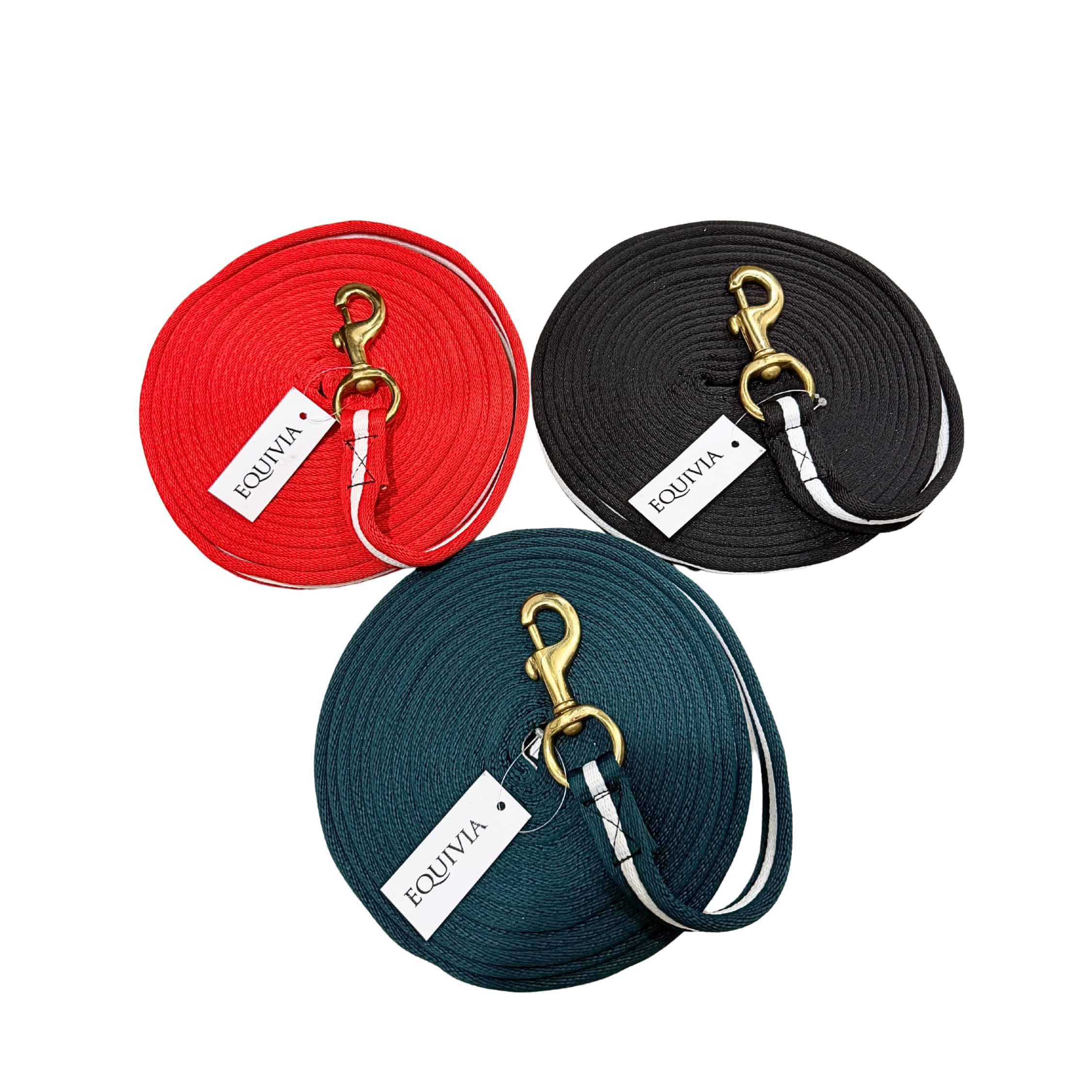 Lunging Equipment