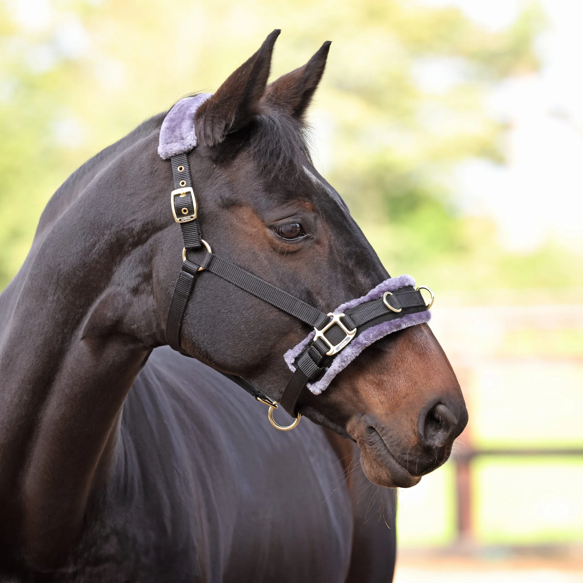 ARMA Fleece Line Lunging Caveson