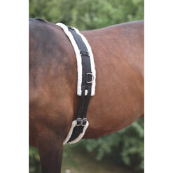 ARMA Nylon Roller with Fleece (Lunging girth)