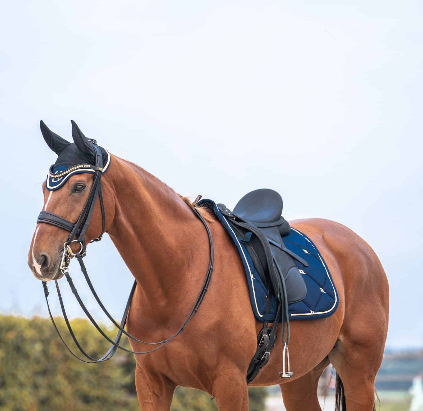 Back On Track Night Collection Saddle Pad & Ear Net
