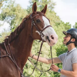 CWD Training French Nose Bridle