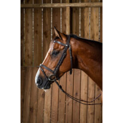 Dyon Working Flash Noseband Bridle with Snap