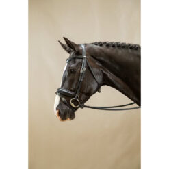 Dyon Large Matte Crank Noseband Bridle
