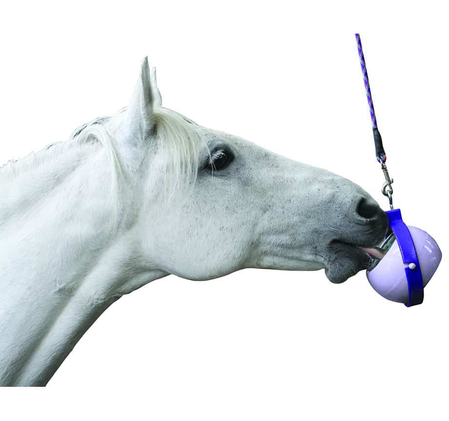 Likit Treats