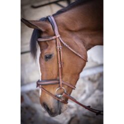 Penelope Leather Bridle