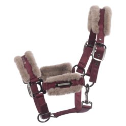Cavallo JANY Adjustable Halter