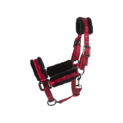 Cavallo Jero Headcollar