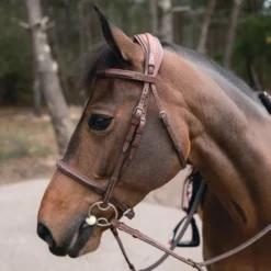CWD Anatomical Bridle French Noseband