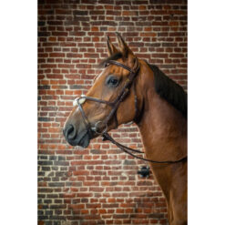 Dyon D Collection Fig 8 Noseband Bridle