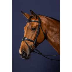 Dyon New English Anatomic Flash Noseband Bridle
