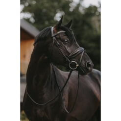 Dyon Patent Large Crank Noseband Bridle With Flash