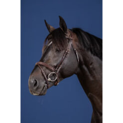 Dyon US Collection Flash Noseband Bridle