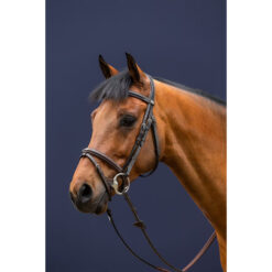 Dyon Working Flash Noseband Bridle