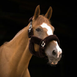 Equitheme Teddy Halter