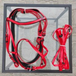 Equivia Plastic Bridle