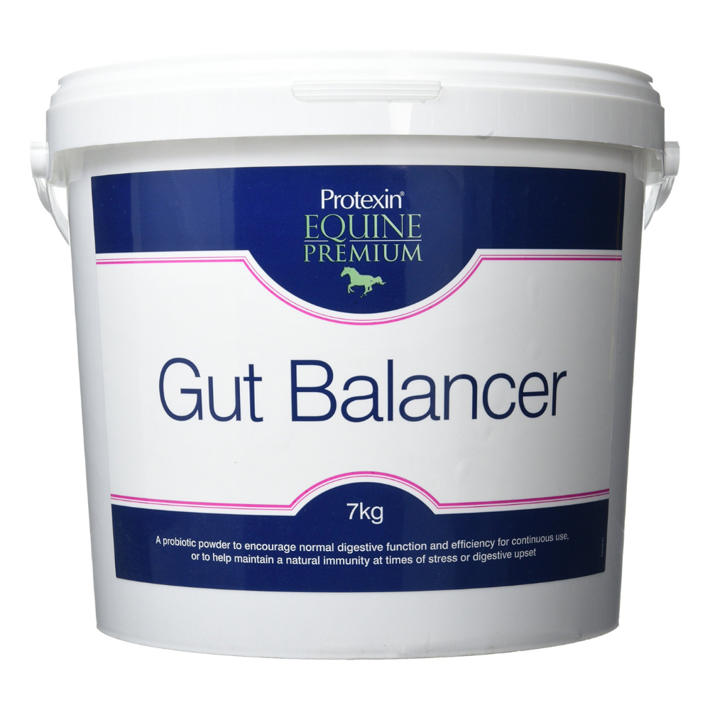 GUT BALANCER | PROTEXIN | AL ZARRAB