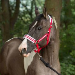 Horze Christmas Halter