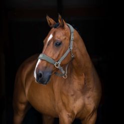 Horze Graz Halter