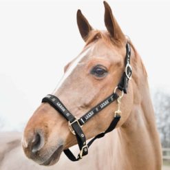 Horze Hamptons Halter