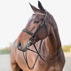 Horze Laelia Weymouth Bridle