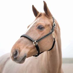 Horze Largo leather Halter