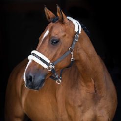 Horze LE Howard Halter