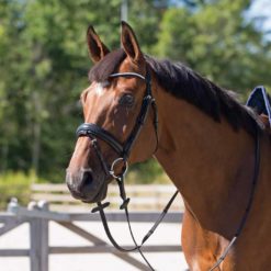 Horze Lester Bridle