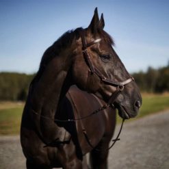 Horze Orlando Combined Bitless Bridle