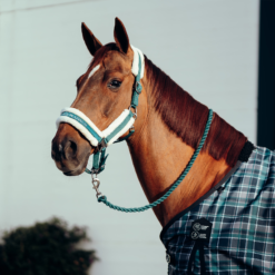 Horze Stanford Pony Halter