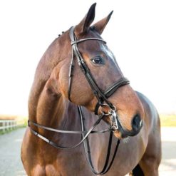 Horze Vienna Weymouth Bridle