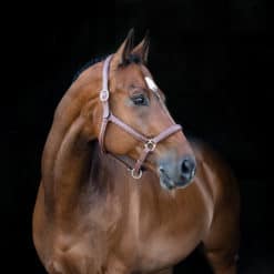 Horze Warren Soft Leather Halter