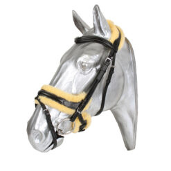 Kentaur Anatomical Bridle