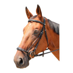 Kentaur Clarksville Bridle