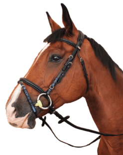 Kentaur Danville Bridle