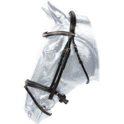Kentaur Griffin Bridle