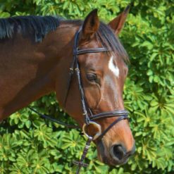 Kentaur Hartford Bridle