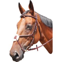 Kentaur Knoxville Bridle