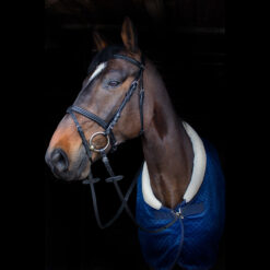 Kentaur Savannah Snaffle Bridle